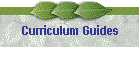 Curriculum Guides