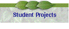 Student Projects